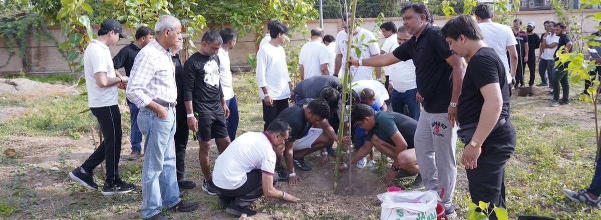 tree plantation event